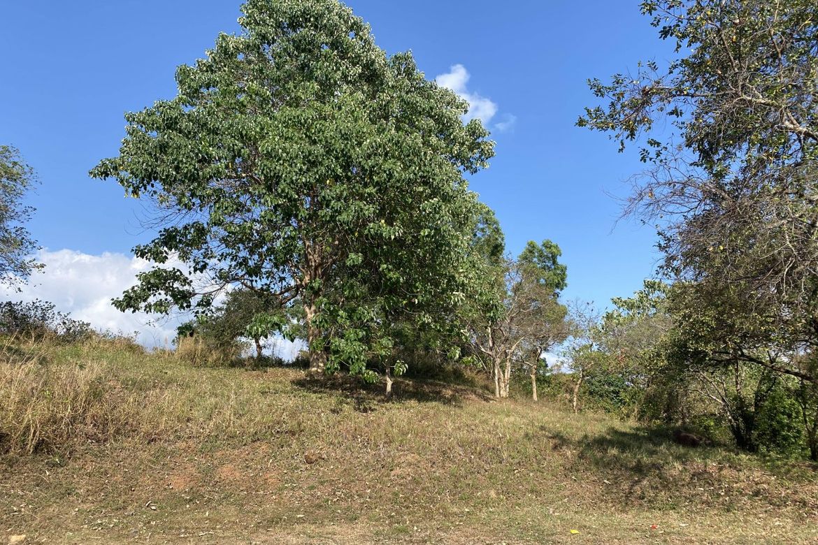 Land for Sale in Anvaya Cove, Mabatang, Abucay, Bataan – photo 7