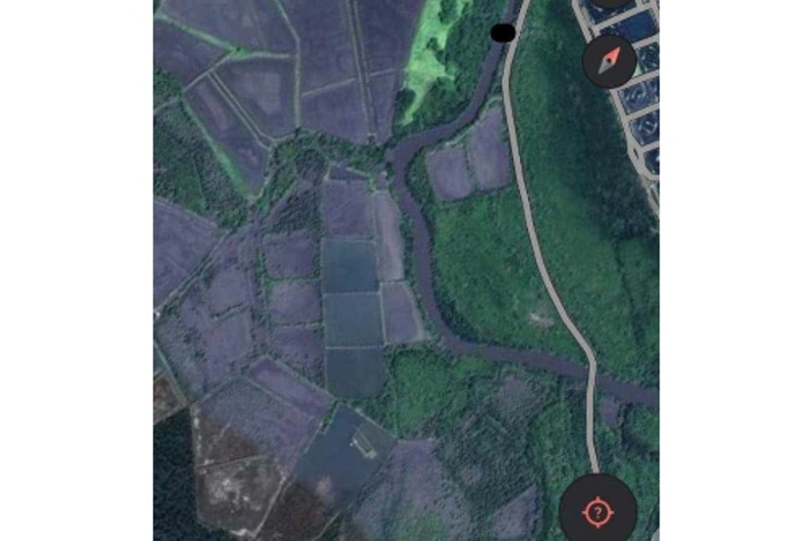 Land for Sale in Apitong, Naujan, Oriental Mindoro – photo 2