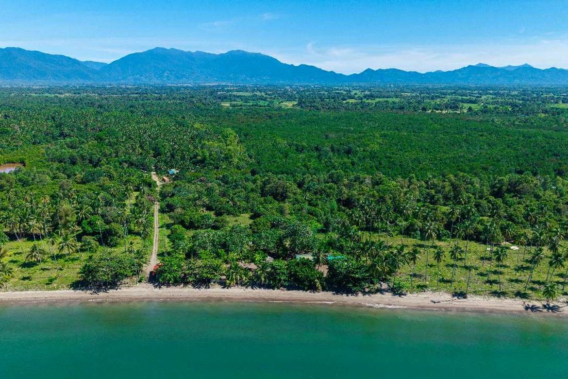 Land for Sale in Apo-Aporawan, Aborlan, Palawan – photo 3
