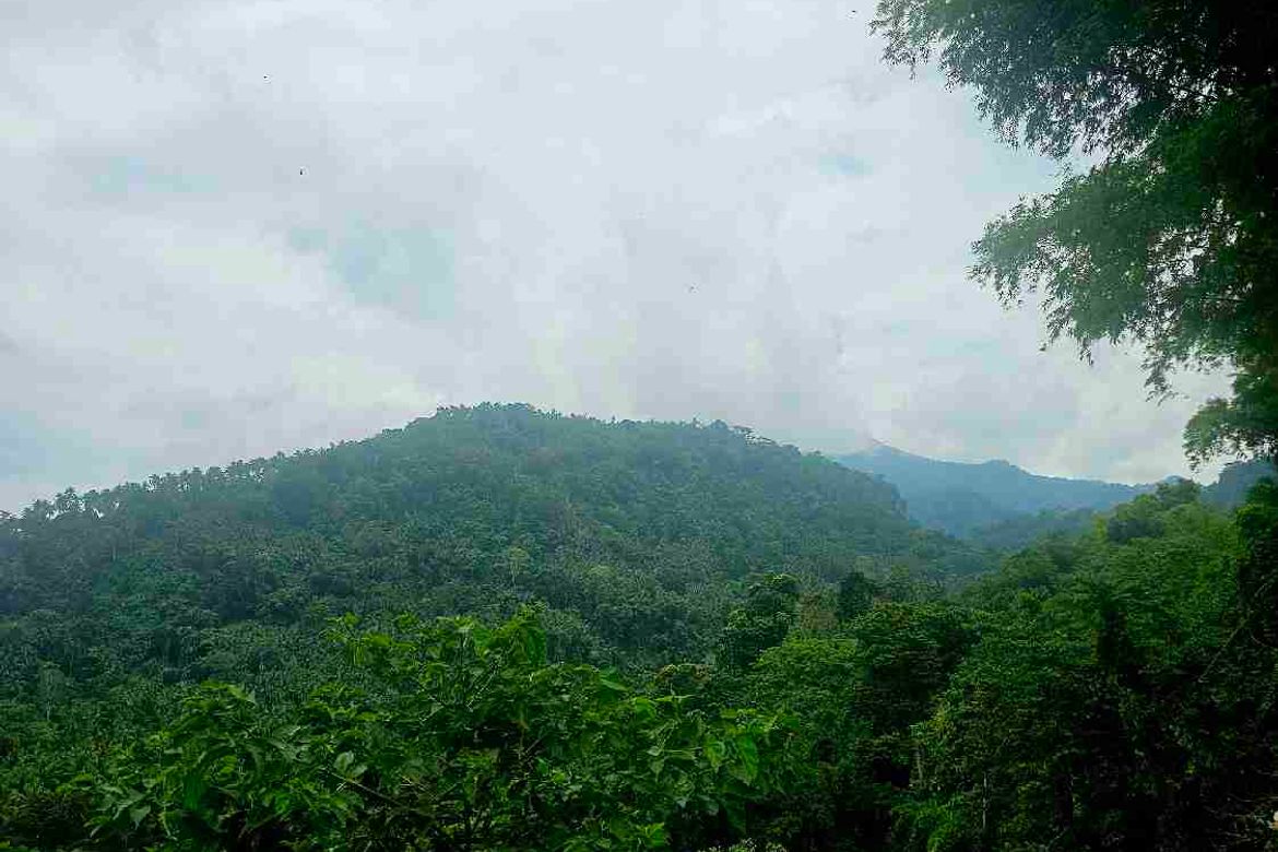 Land for Sale in Apolong, Valencia, Negros Oriental – photo 6