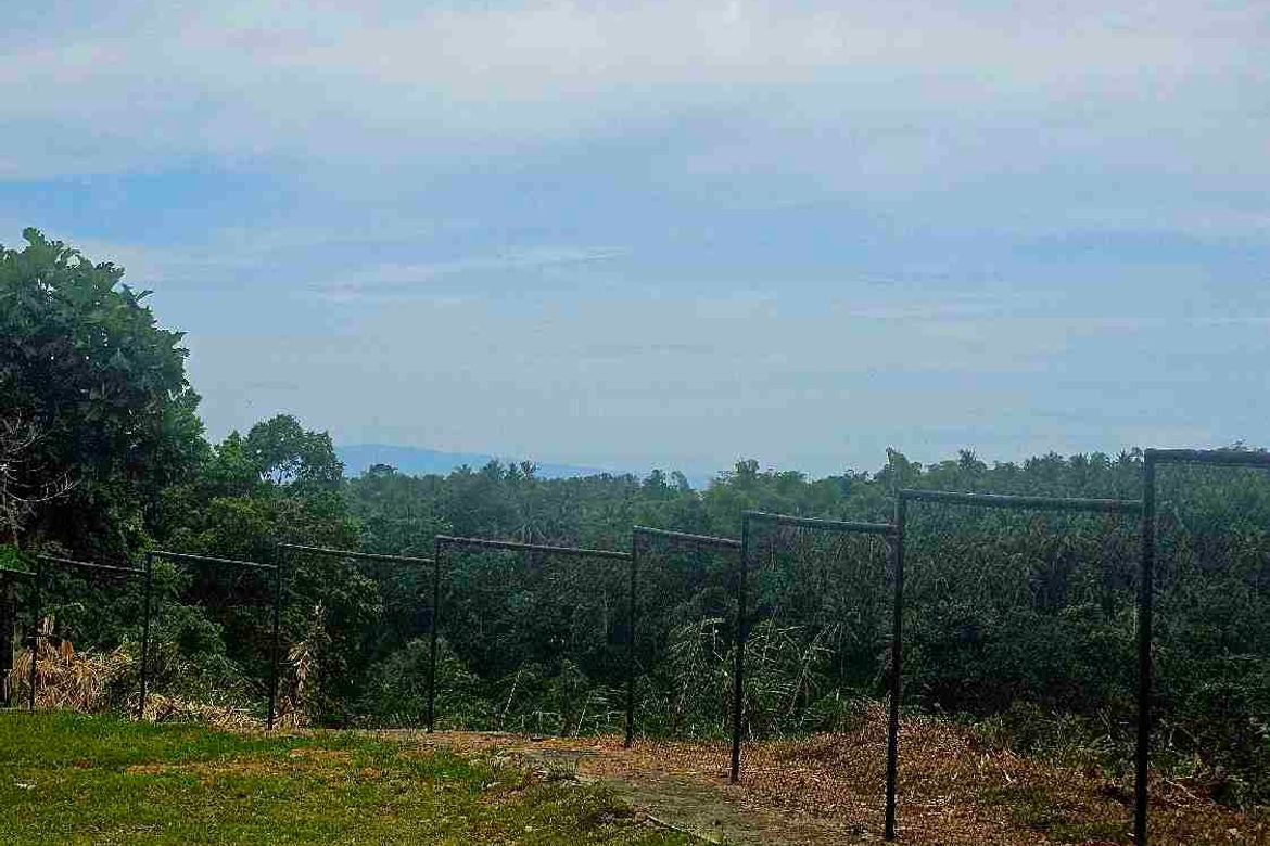 Land for Sale in Apolong, Valencia, Negros Oriental – photo 7