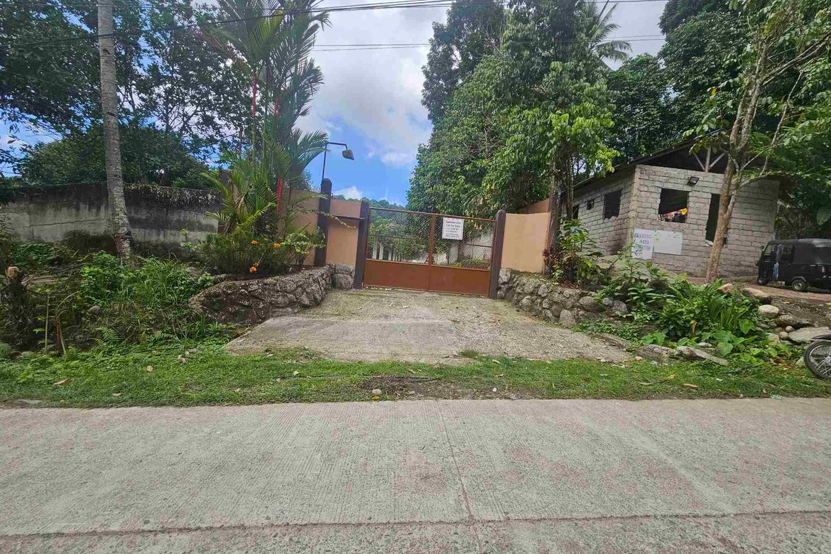 Land for Sale in Apolong, Valencia, Negros Oriental