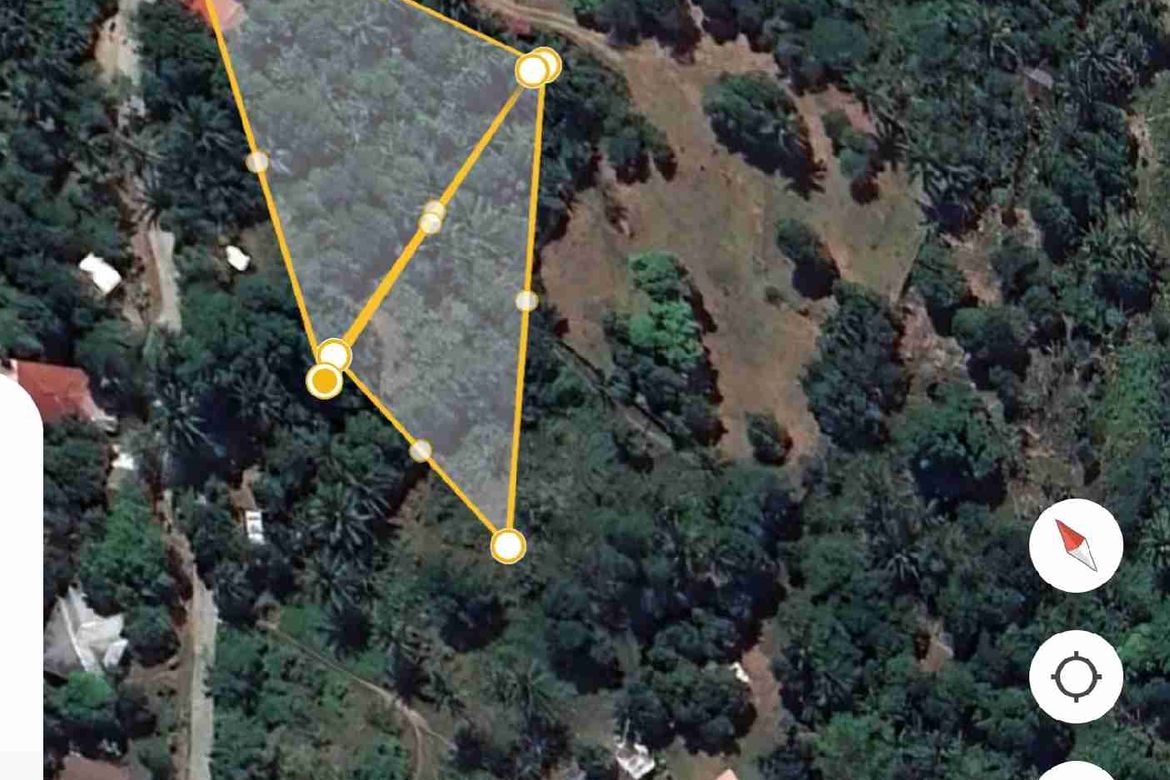 Land for Sale in Apolong, Valencia, Negros Oriental – photo 3
