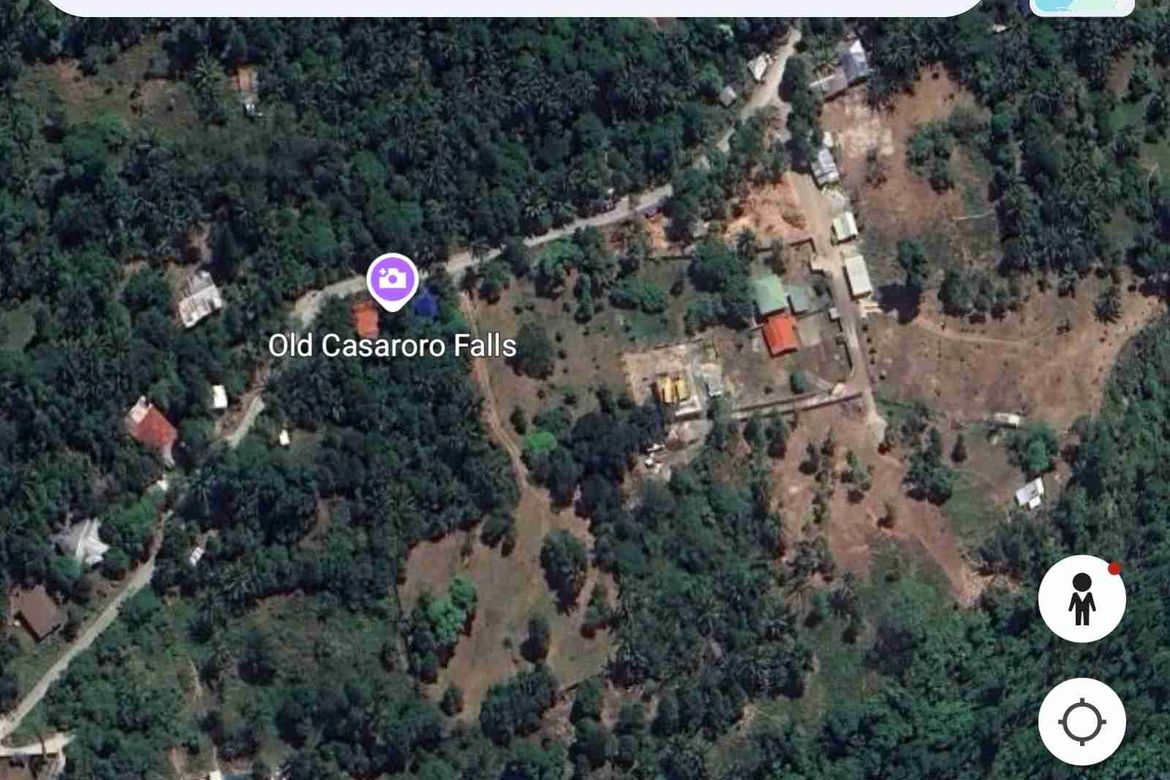 Land for Sale in Apolong, Valencia, Negros Oriental – photo 4