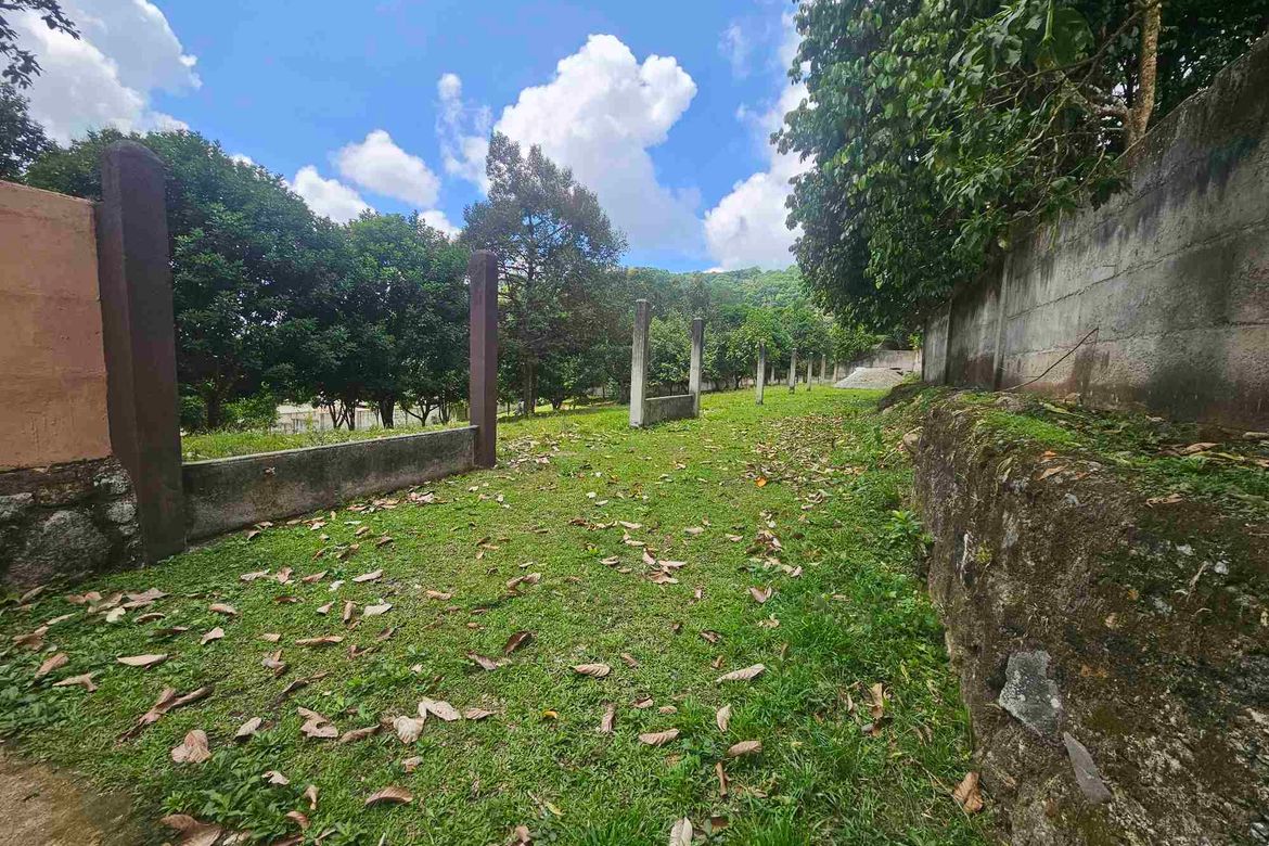 Land for Sale in Apolong, Valencia, Negros Oriental – photo 5
