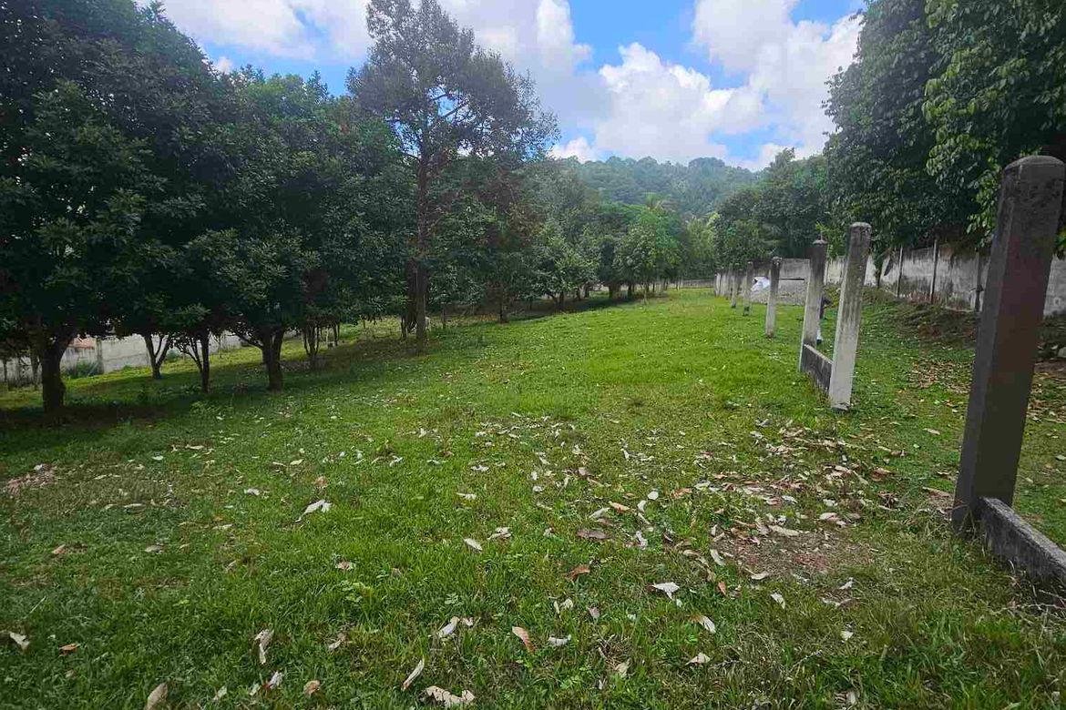 Land for Sale in Apolong, Valencia, Negros Oriental – photo 6