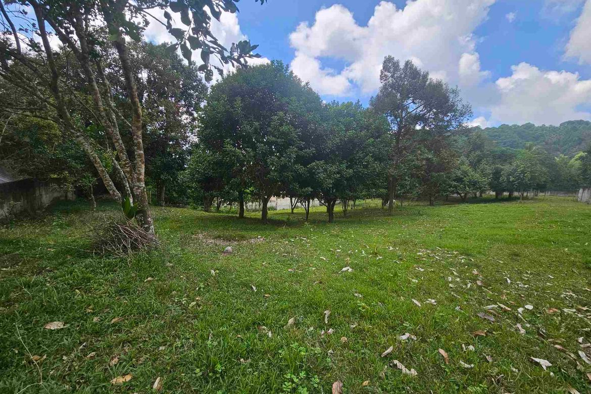 Land for Sale in Apolong, Valencia, Negros Oriental – photo 7