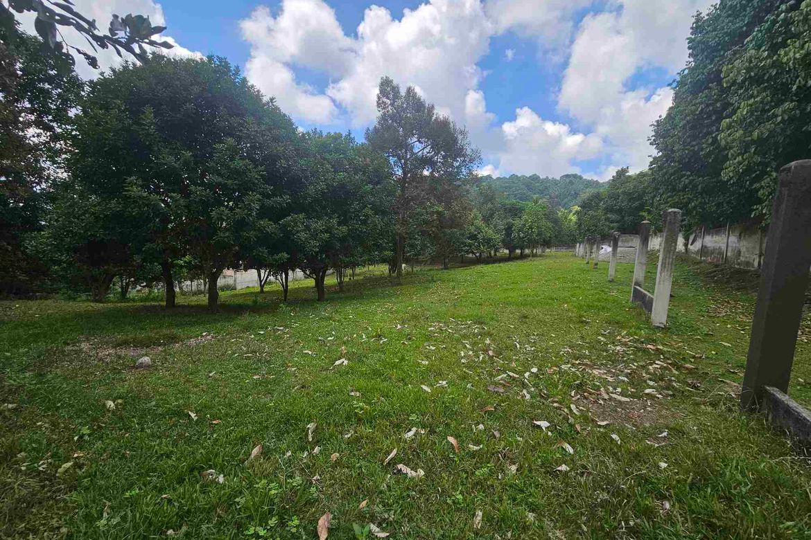 Land for Sale in Apolong, Valencia, Negros Oriental – photo 8