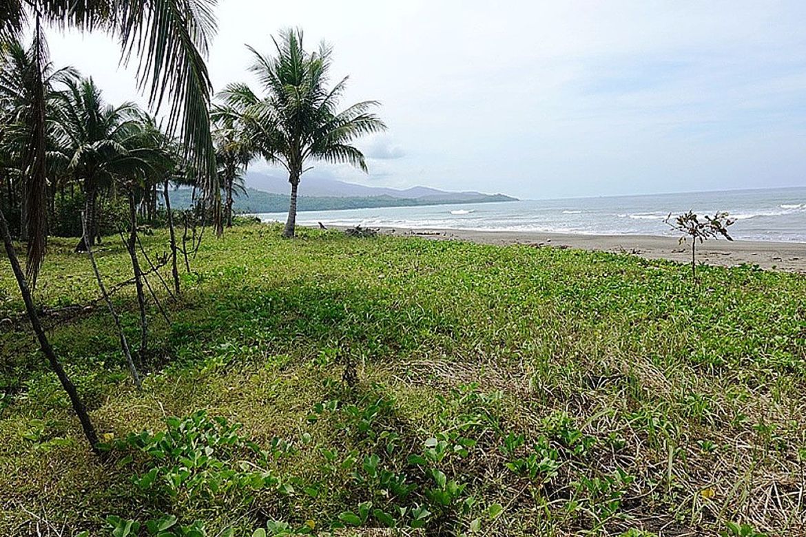 Land for Sale in Aporawan, Aborlan, Palawan – photo 8