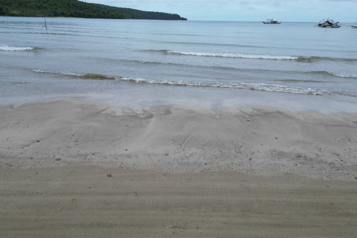 Land for Sale in Aporawan, Aborlan, Palawan – photo 3