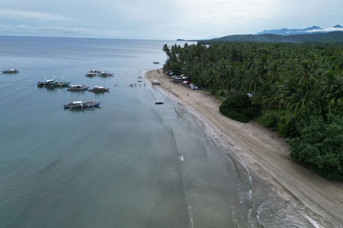 Land for Sale in Aporawan, Aborlan, Palawan – photo 4