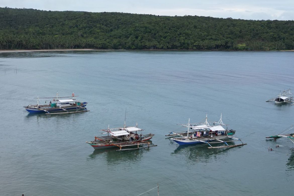 Land for Sale in Aporawan, Aborlan, Palawan – photo 6