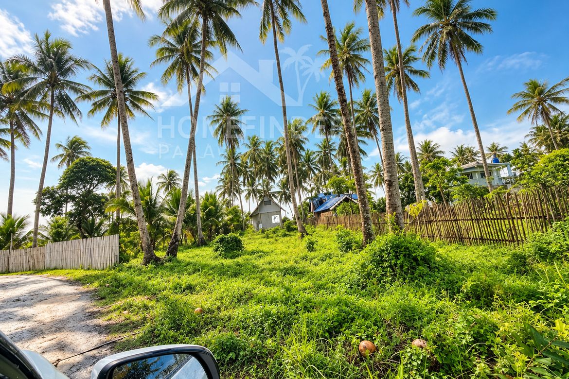 Land for Sale in Aporawan, Aborlan, Palawan – photo 3