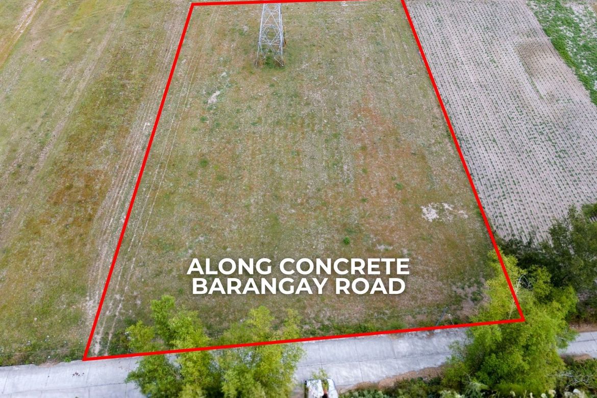 Land for Sale in Apostol, San Felipe, Zambales – photo 3