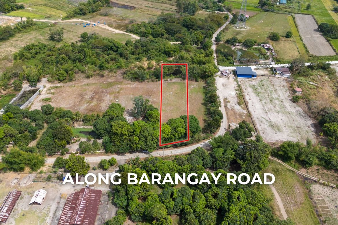 Land for Sale in Apostol, San Felipe, Zambales – photo 2