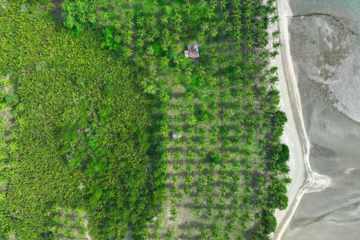 Land for Sale in Aramaywan, Quezon, Palawan – photo 2