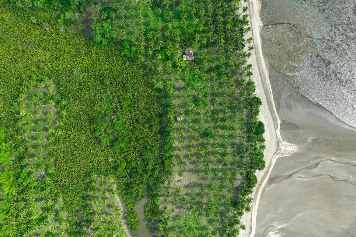 Land for Sale in Aramaywan, Quezon, Palawan – photo 3