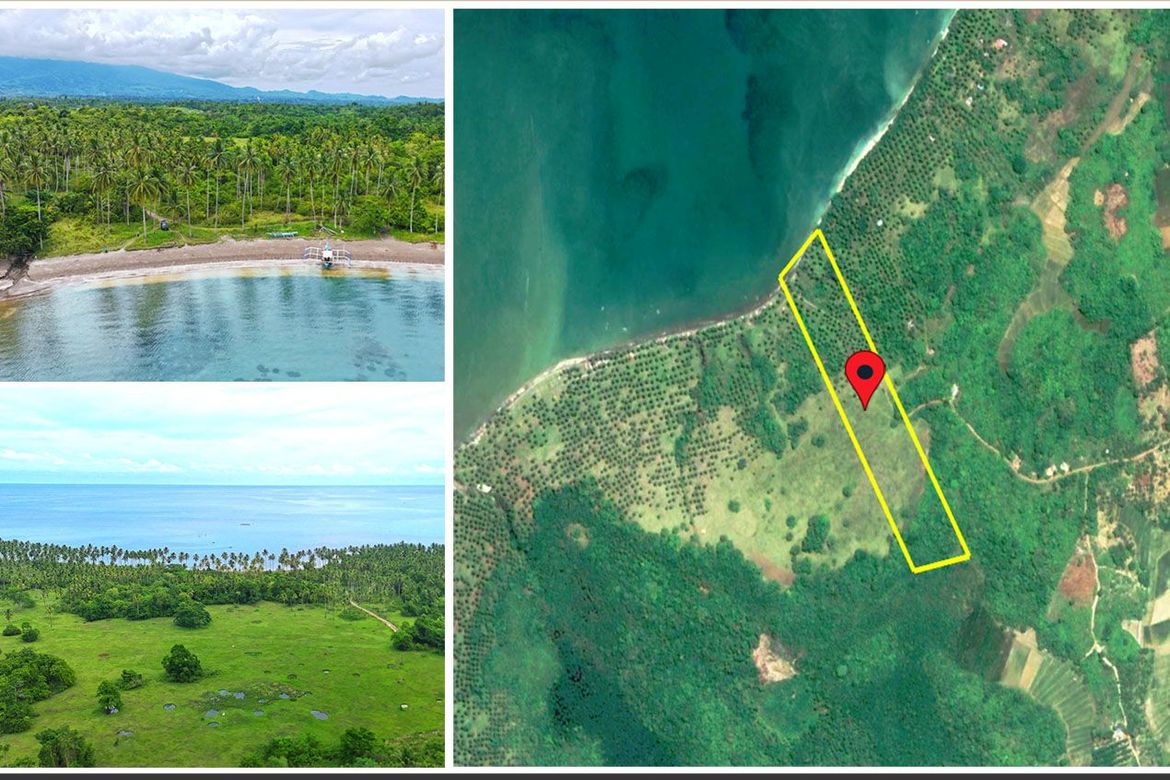 Land for Sale in Aramaywan, Quezon, Palawan