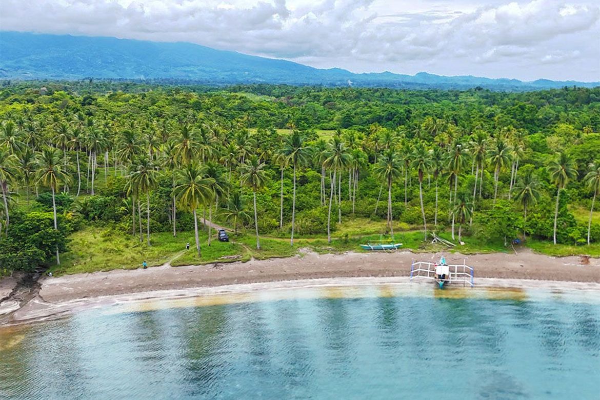 Land for Sale in Aramaywan, Quezon, Palawan – photo 2