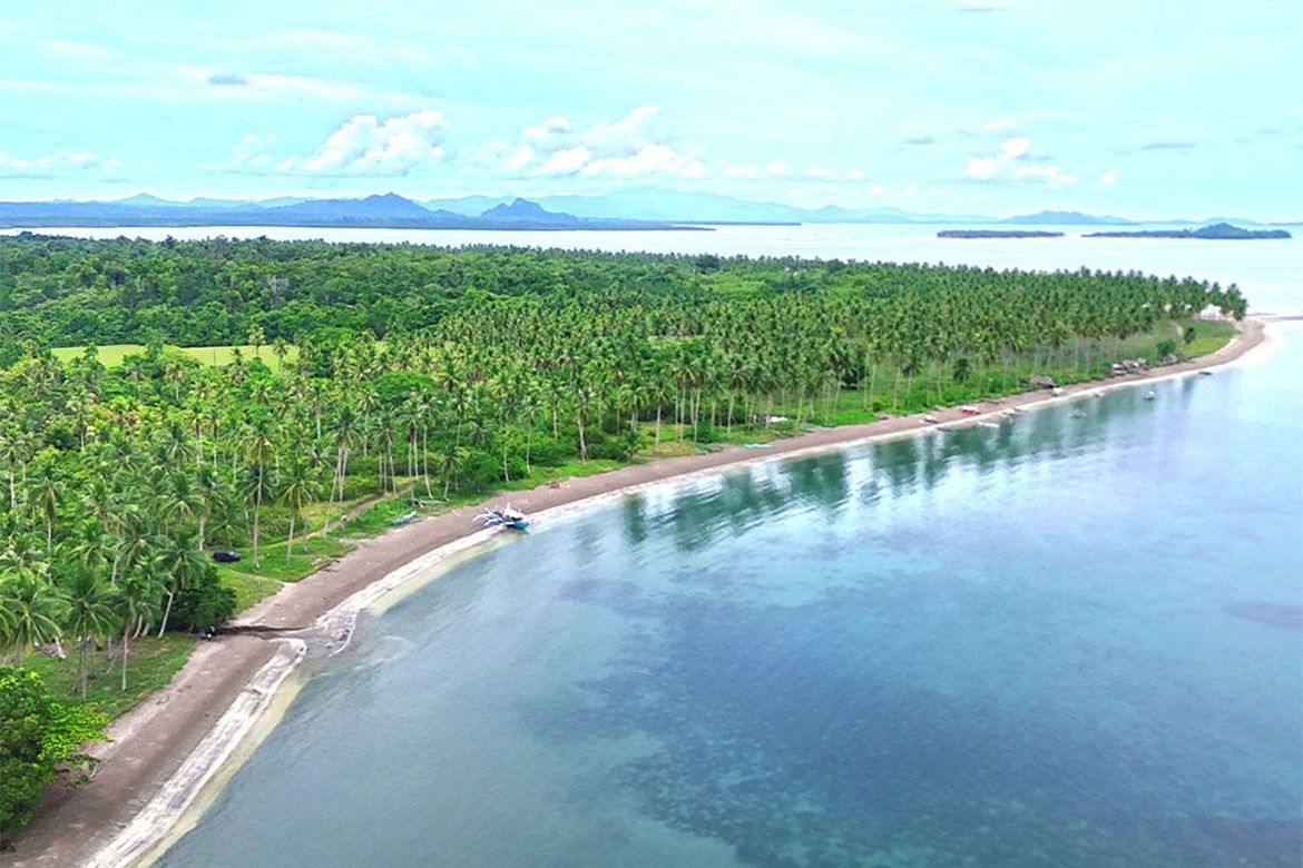 Land for Sale in Aramaywan, Quezon, Palawan – photo 6