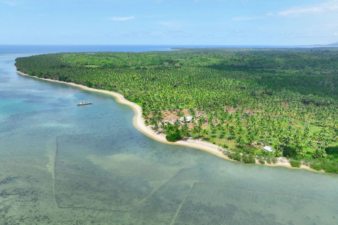 Land for Sale in Aramaywan, Quezon, Palawan – photo 5