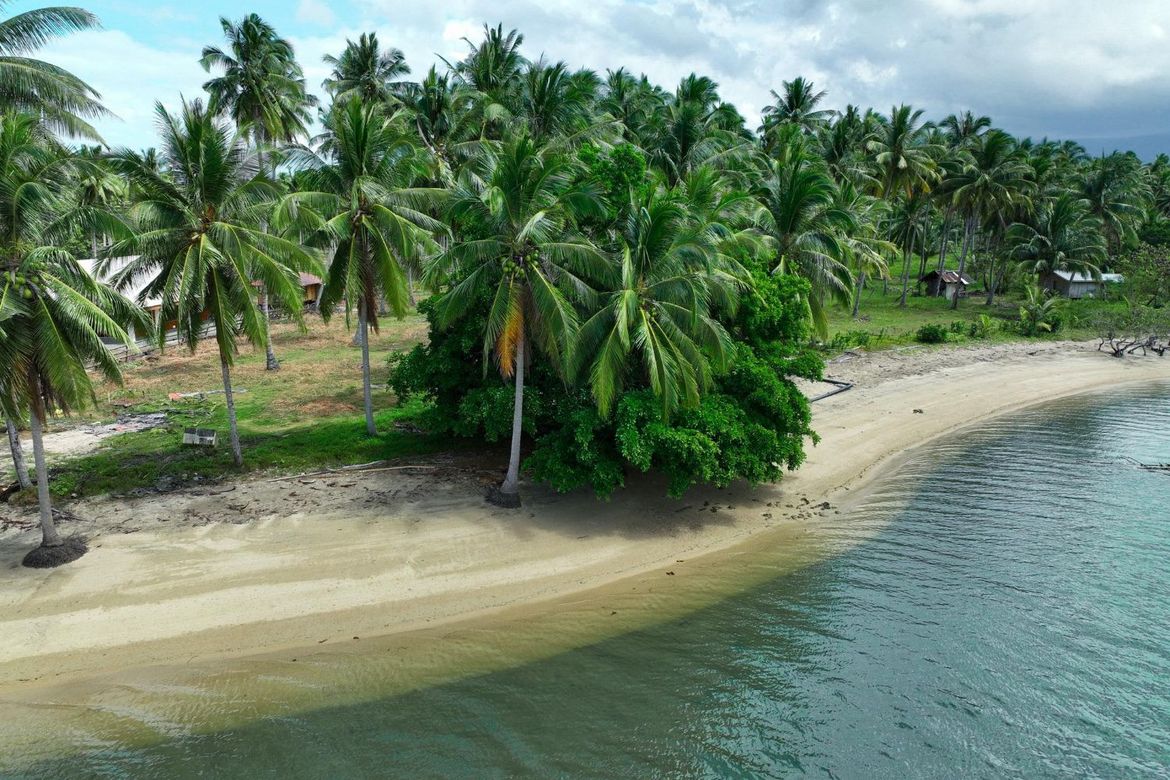 Land for Sale in Aramaywan, Quezon, Palawan – photo 6