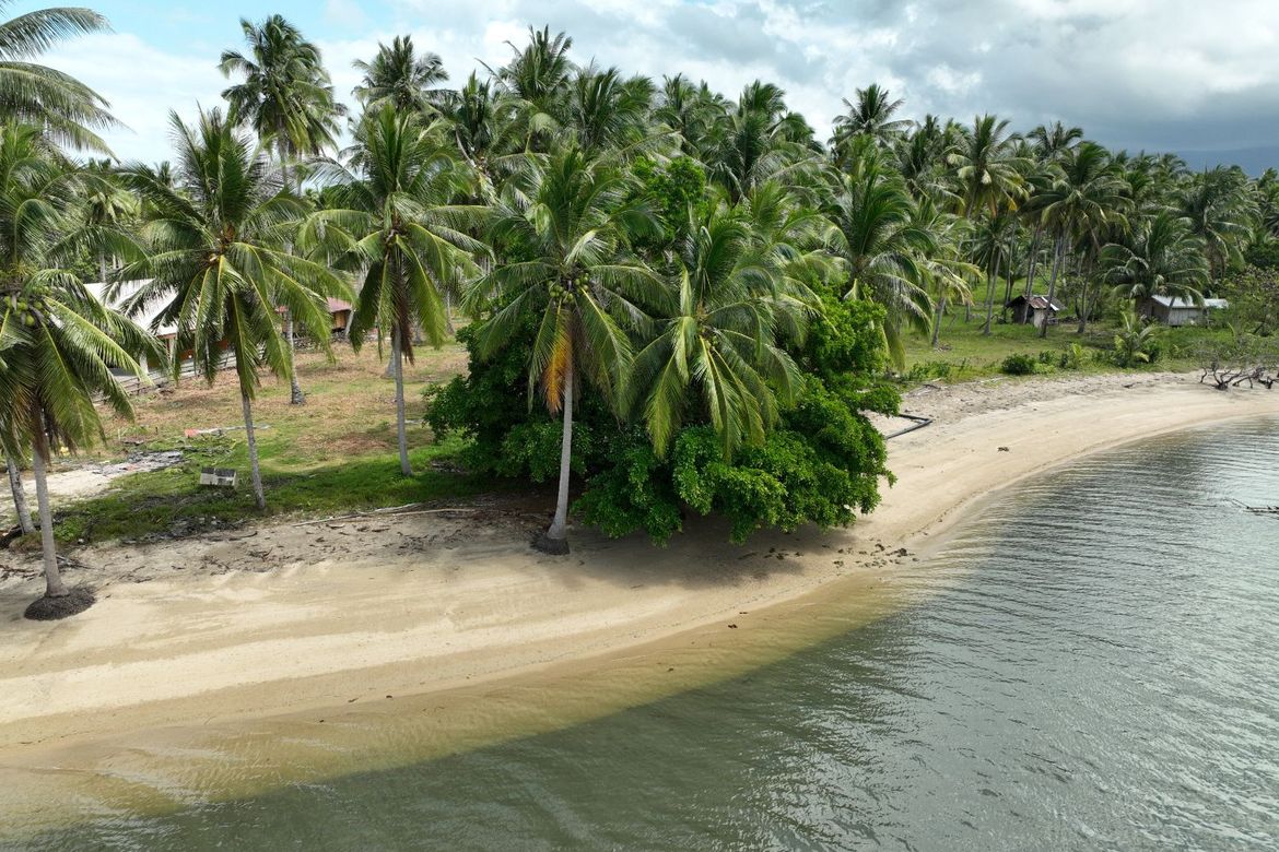 Land for Sale in Aramaywan, Quezon, Palawan – photo 8