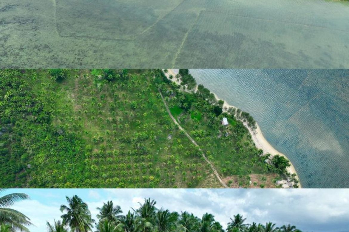 Land for Sale in Aramaywan, Quezon, Palawan – photo 4