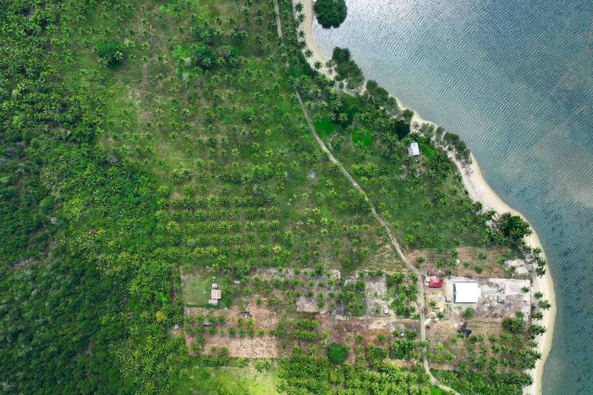 Land for Sale in Aramaywan, Quezon, Palawan – photo 5