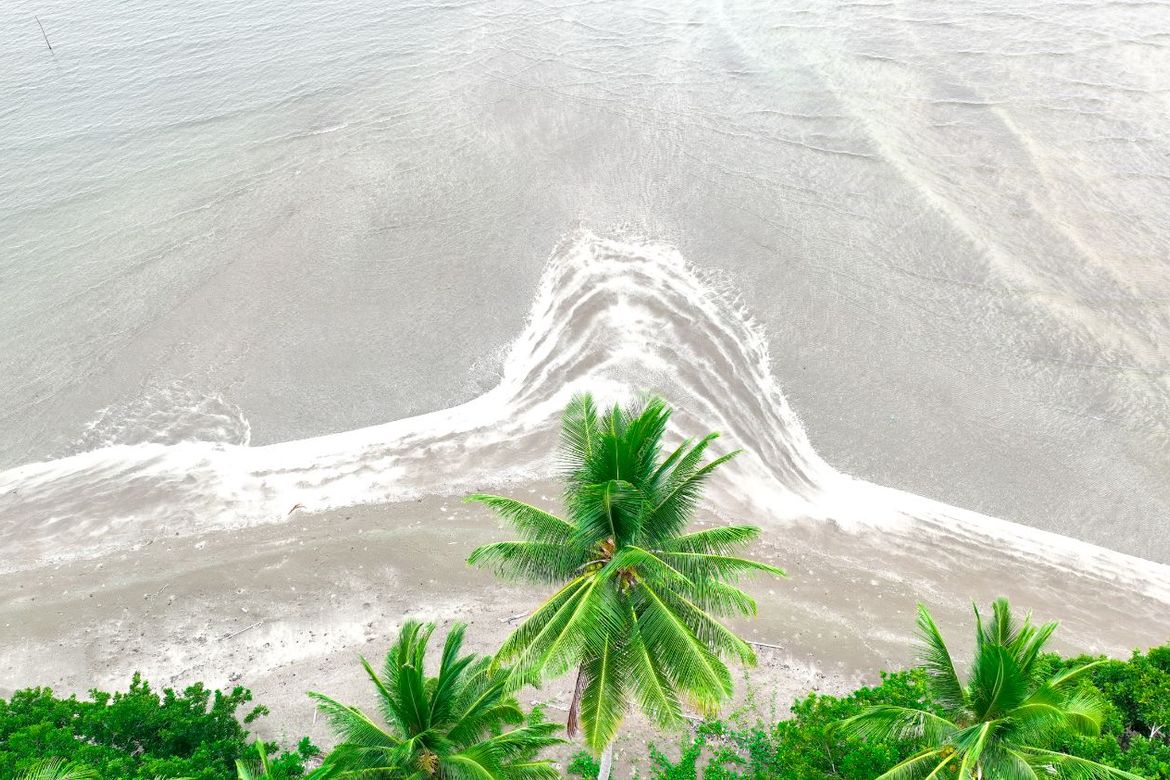 Land for Sale in Aramaywan, Quezon, Palawan – photo 7