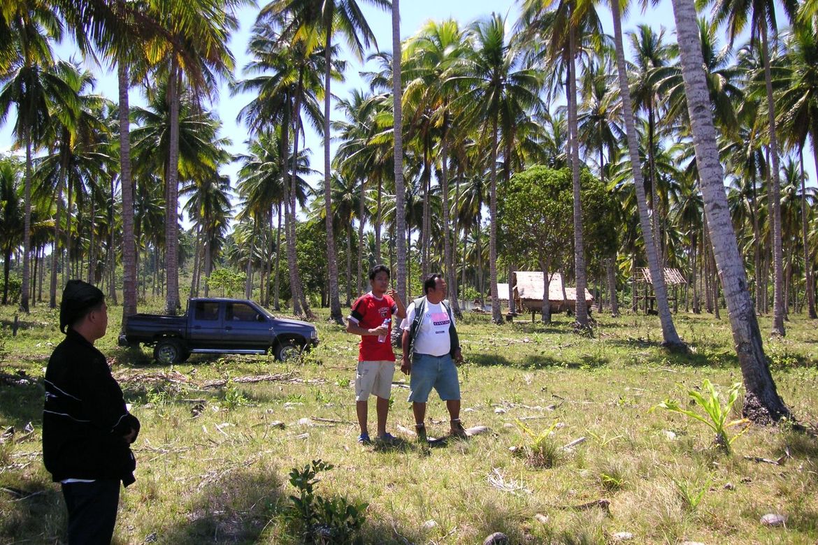 Land for Sale in Aramaywan, Quezon, Palawan – photo 5