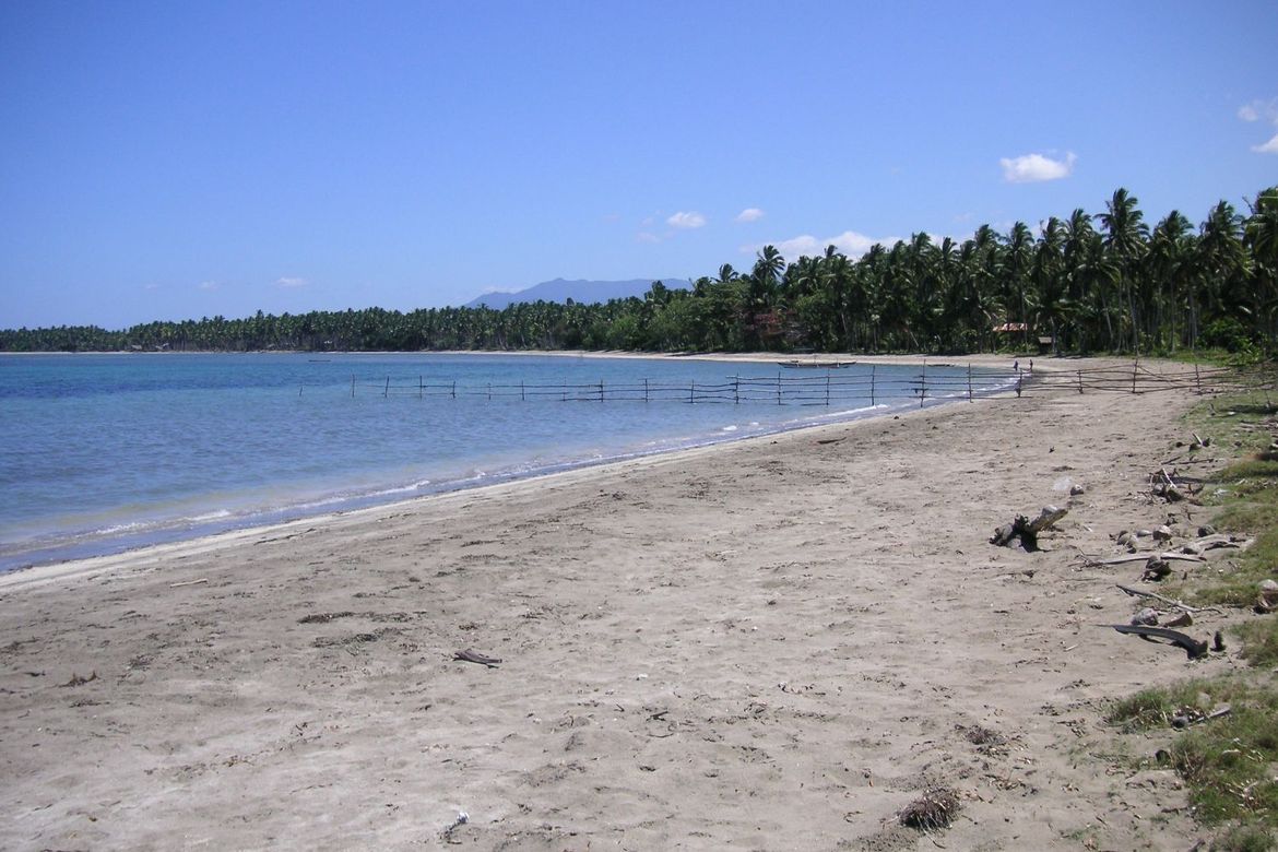 Land for Sale in Aramaywan, Quezon, Palawan