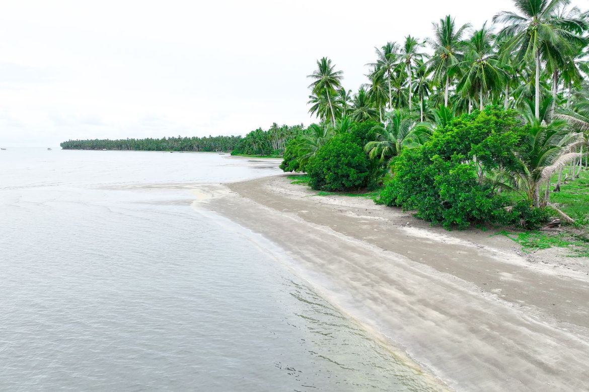 Land for Sale in Aramaywan, Quezon, Palawan