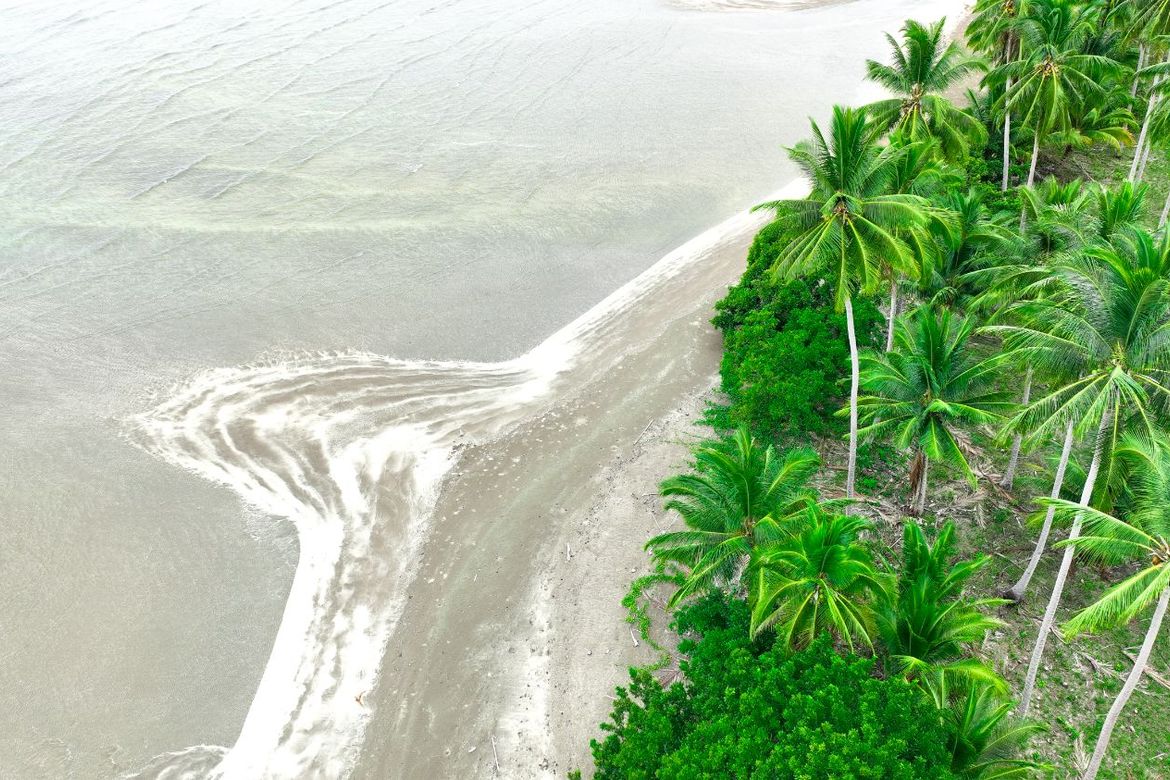 Land for Sale in Aramaywan, Quezon, Palawan – photo 8