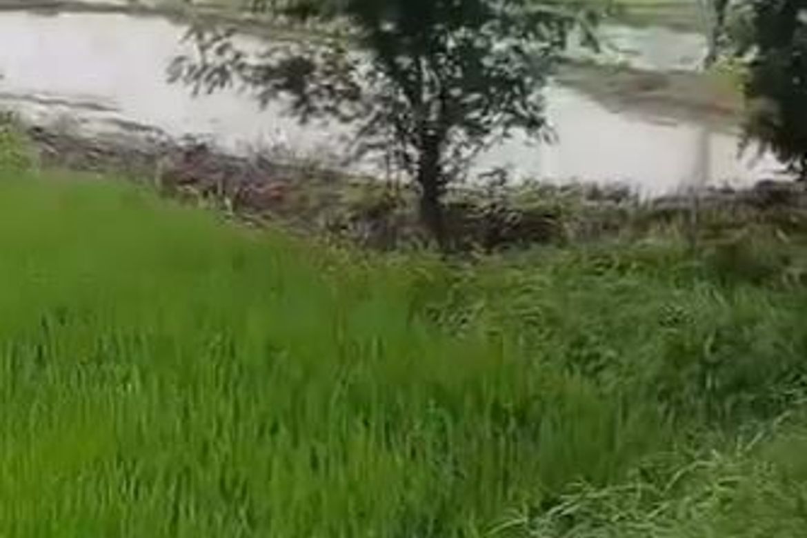 Land for Sale in Aranguren, Capas, Tarlac – photo 5