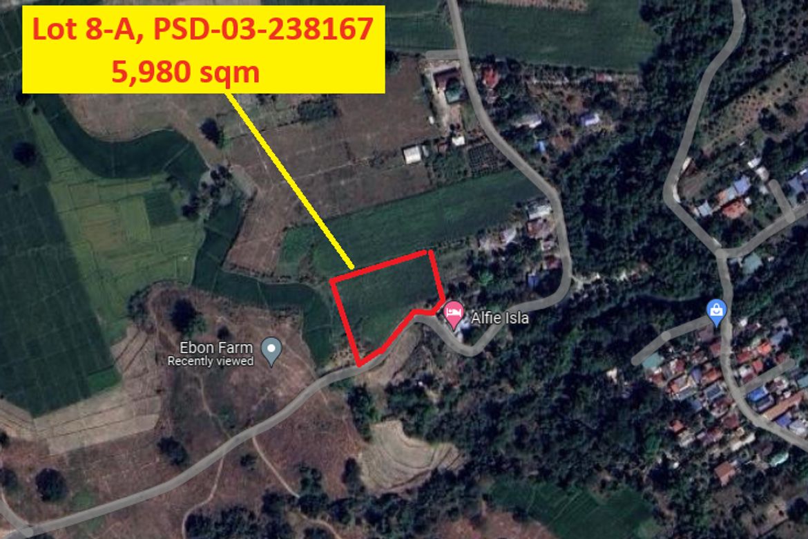 Land for Sale in Aranguren, Capas, Tarlac – photo 2