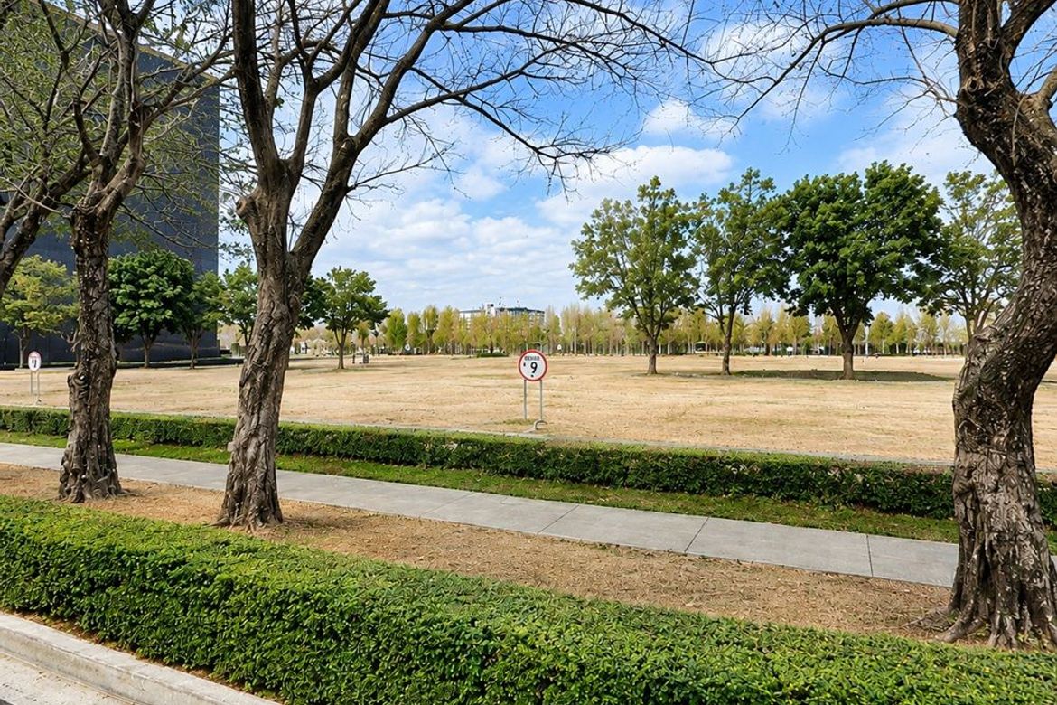 Land for Sale in Arca South, Western Bicutan, Taguig, Metro Manila – photo 5