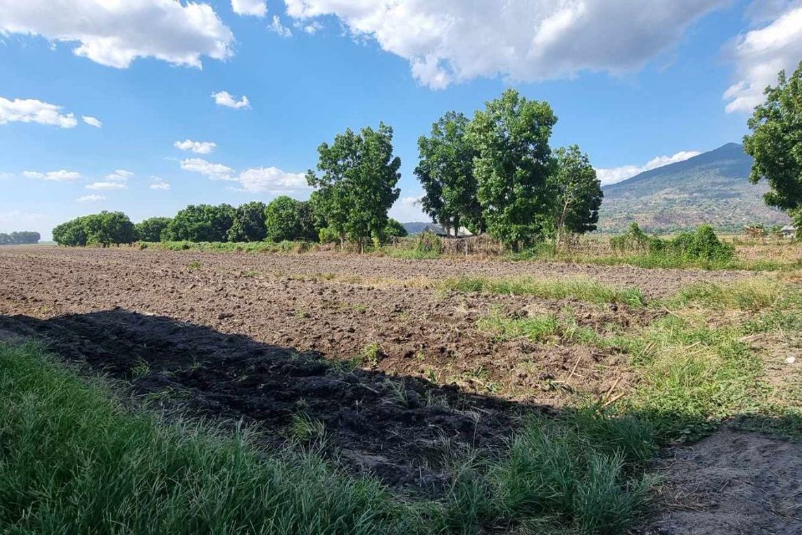Land for Sale in Arenas, Arayat, Pampanga