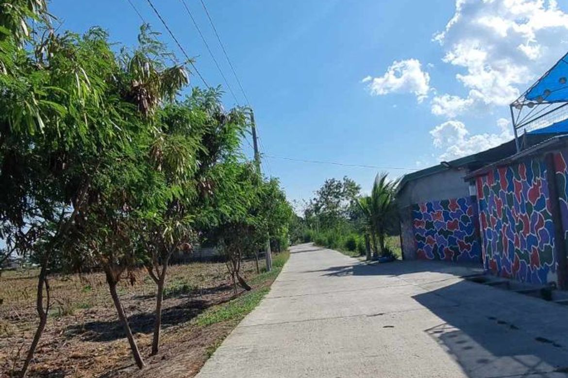 Land for Sale in Arenas, Arayat, Pampanga – photo 6