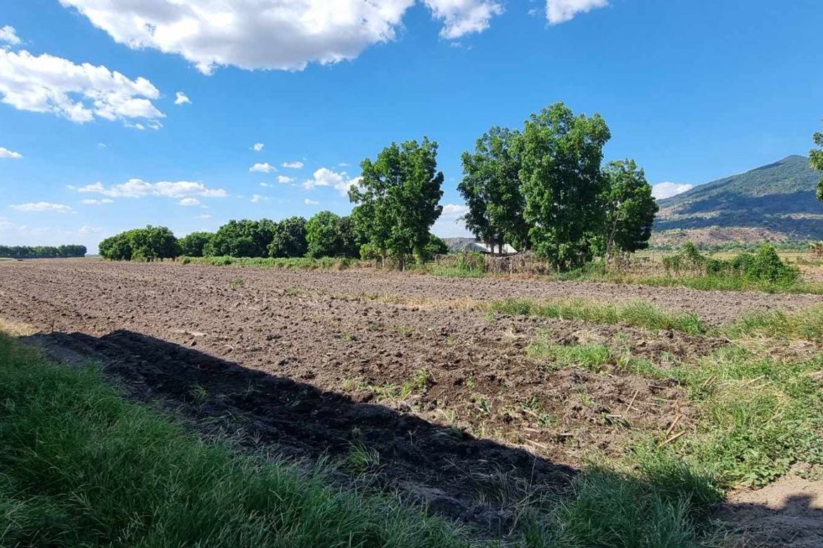 Land for Sale in Arenas, Arayat, Pampanga – photo 8