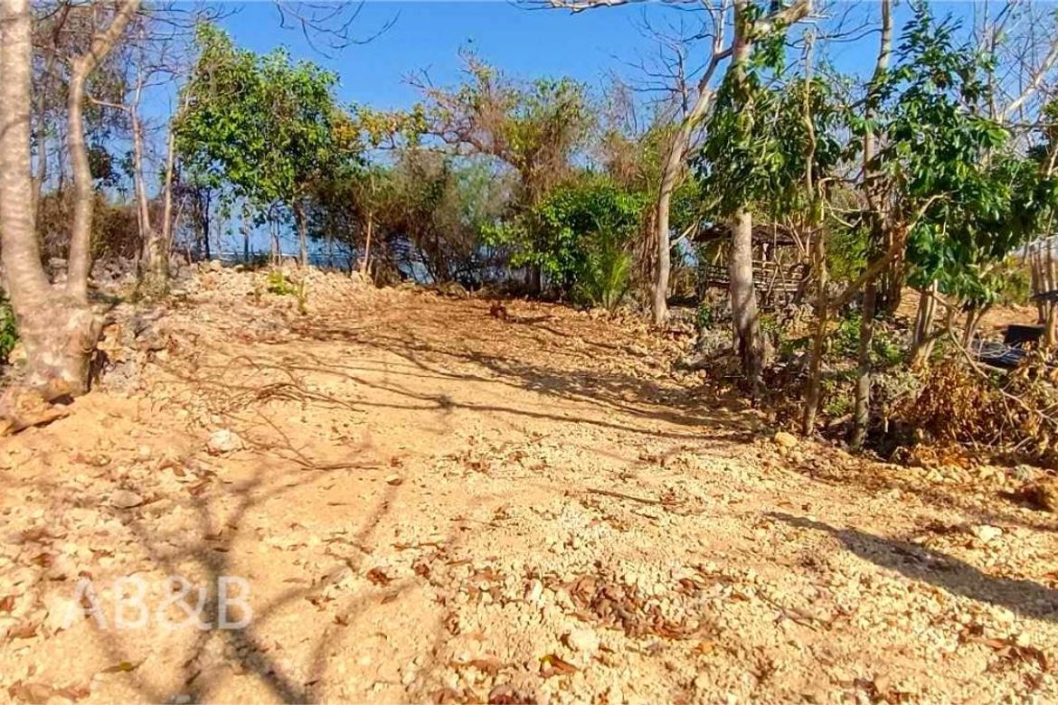 Land for Sale in Arnedo, Bolinao, Pangasinan – photo 2