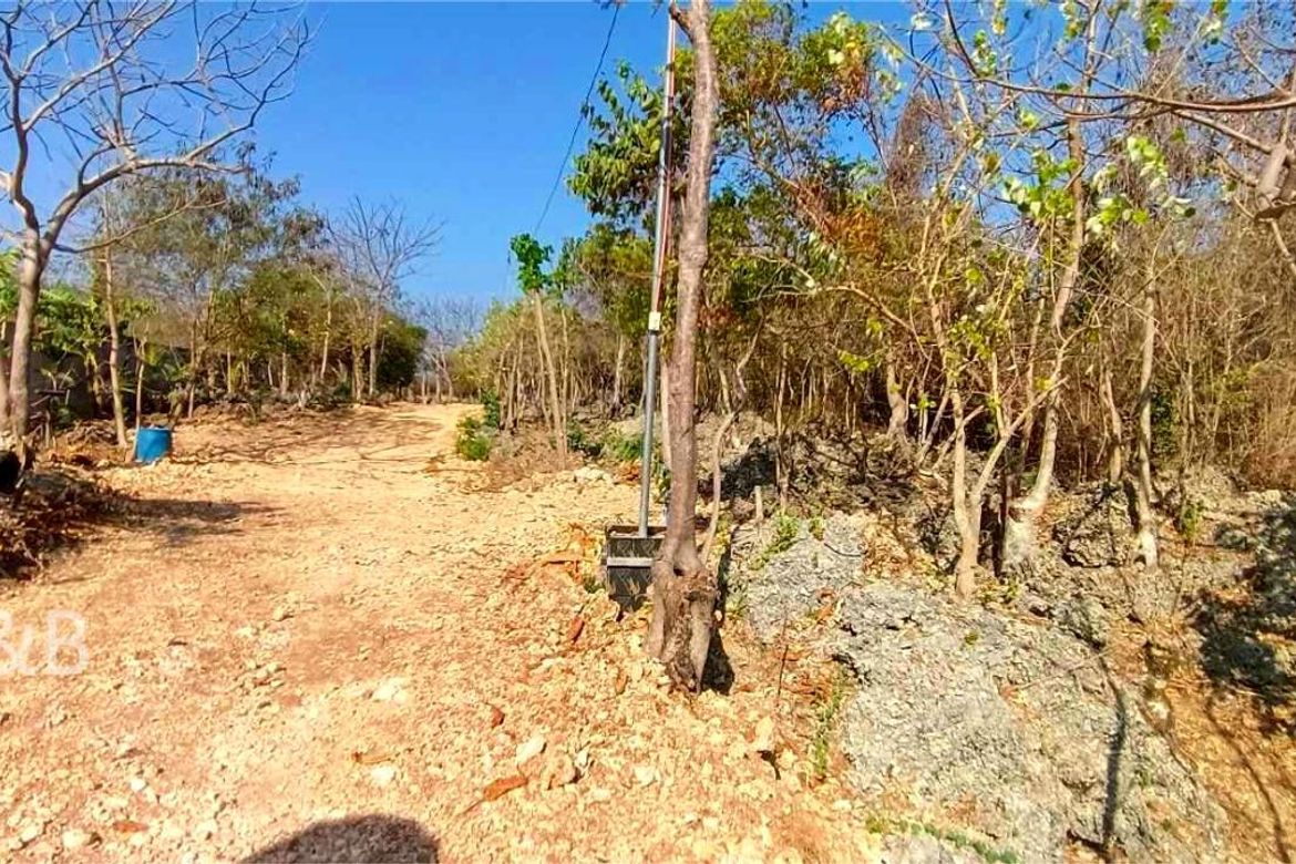 Land for Sale in Arnedo, Bolinao, Pangasinan – photo 4