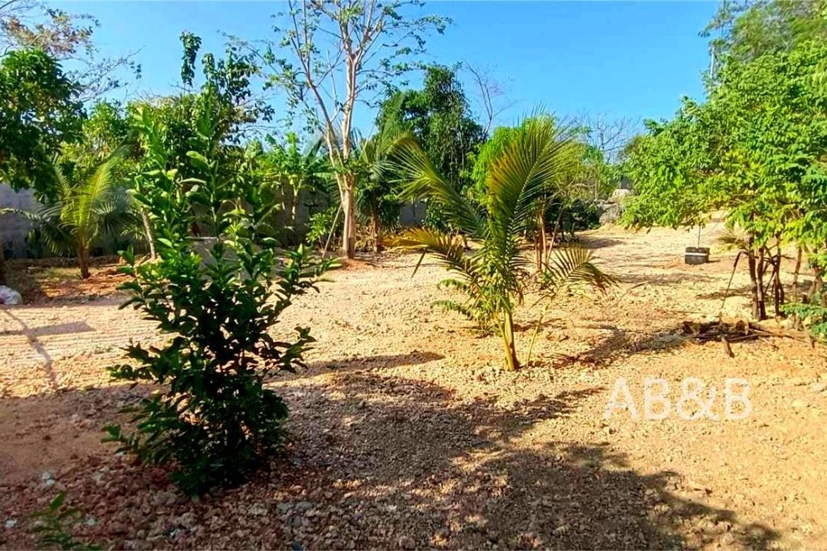 Land for Sale in Arnedo, Bolinao, Pangasinan – photo 5