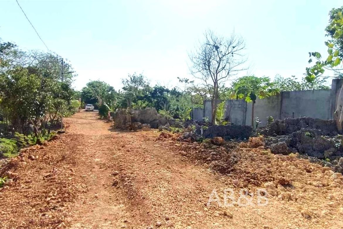 Land for Sale in Arnedo, Bolinao, Pangasinan – photo 6