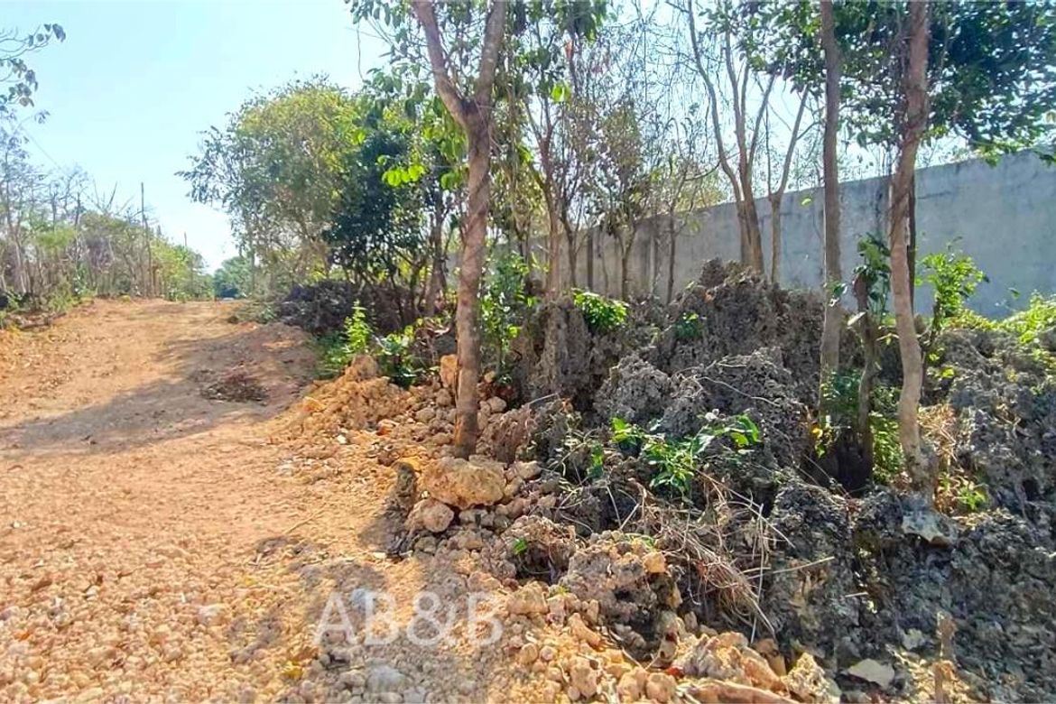 Land for Sale in Arnedo, Bolinao, Pangasinan – photo 7