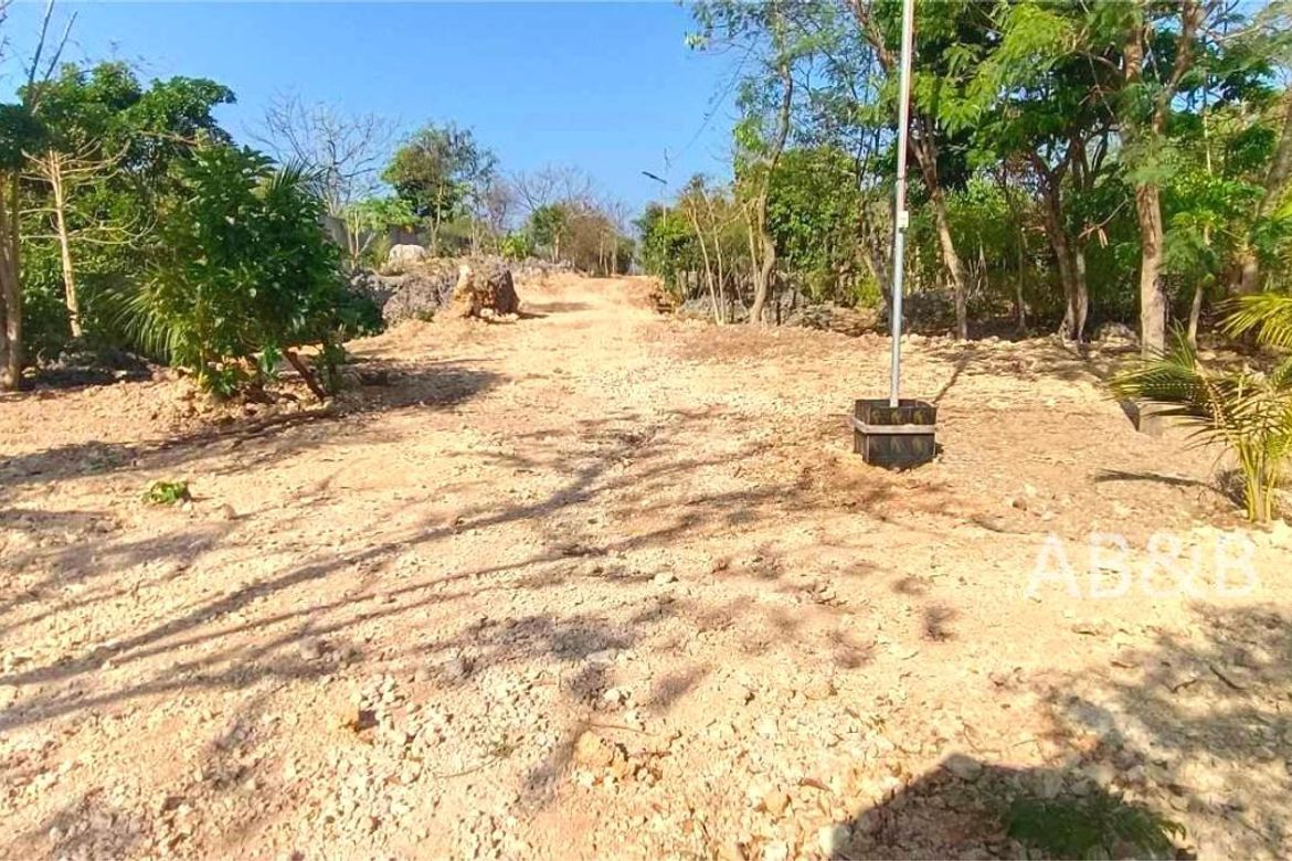 Land for Sale in Arnedo, Bolinao, Pangasinan – photo 8