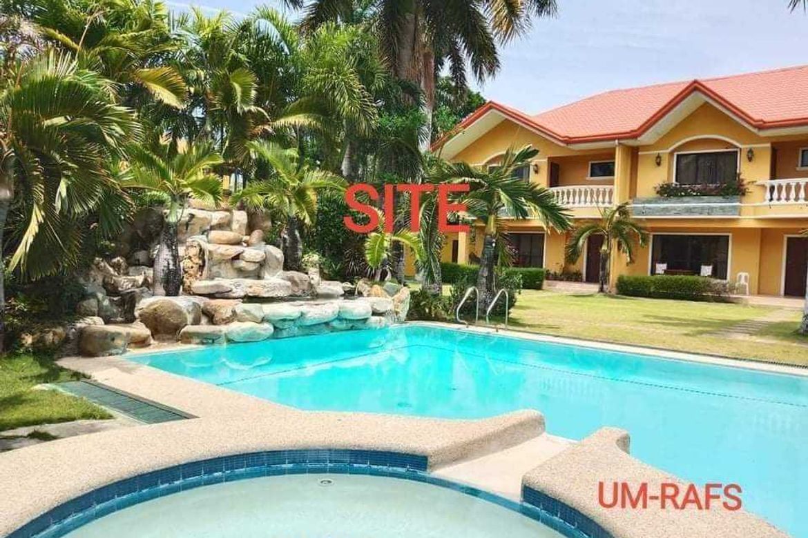 Land for Sale in Arpili, Balamban, Cebu – photo 3