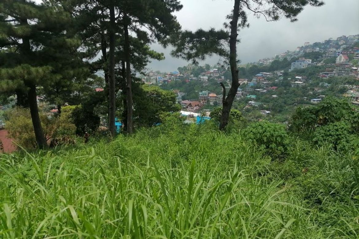 Land for Sale in Asin Road, Baguio, Benguet