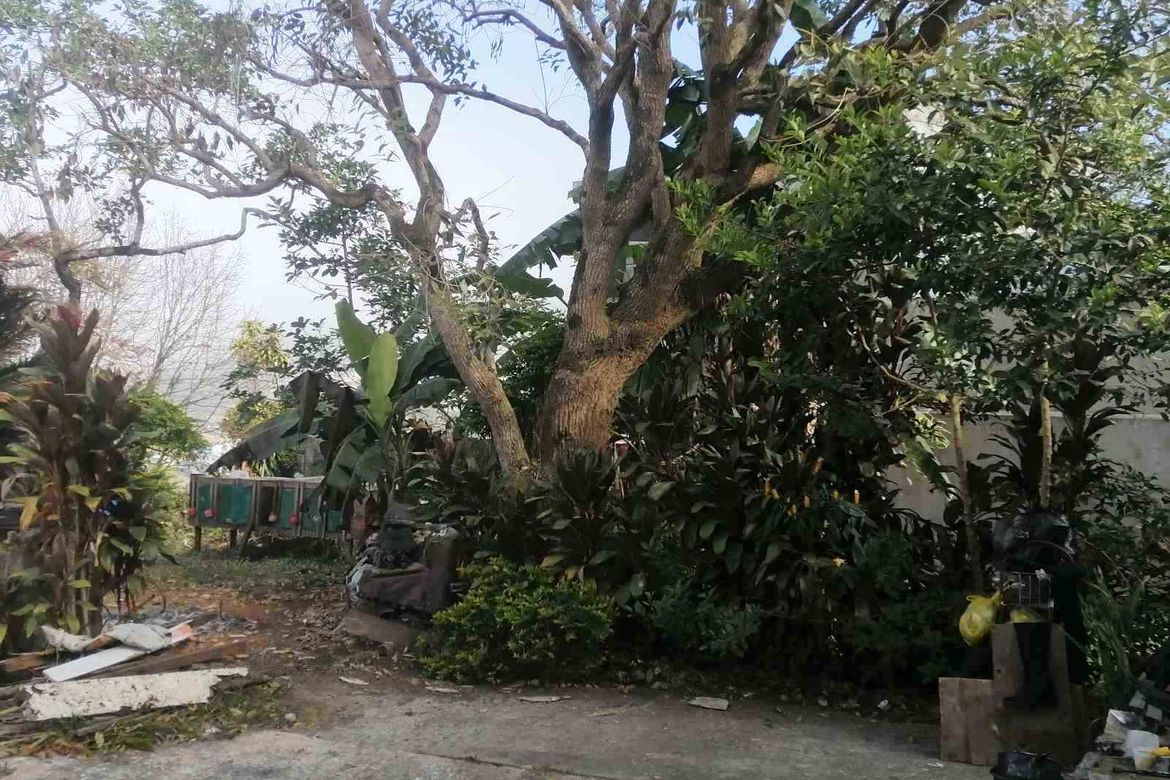 Land for Sale in Asin Road, Baguio, Benguet – photo 3
