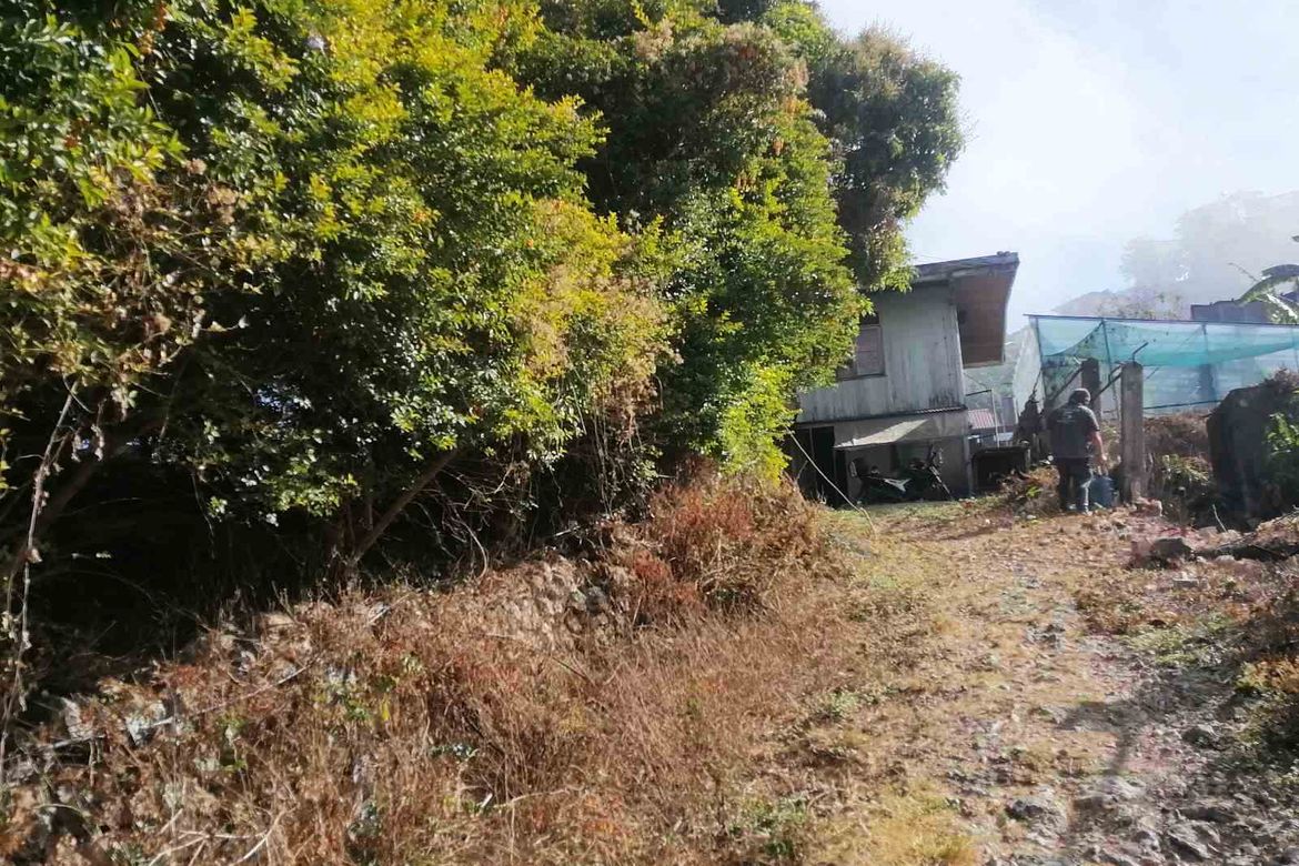 Land for Sale in Asin Road, Baguio, Benguet – photo 8